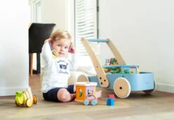 Pinolino Lauflernwagen FIETE -BabyTraum Verkaufsgeschäft 0477585 004 1280x1280